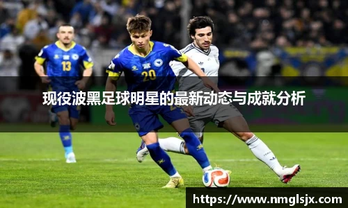 现役波黑足球明星的最新动态与成就分析