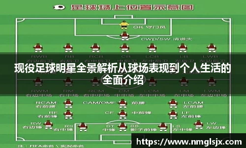 现役足球明星全景解析从球场表现到个人生活的全面介绍